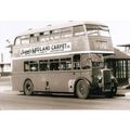 Black & White Photograph of Northampton Corpora...