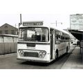 Black & White Photograph of North Western Road ...