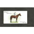 Cigarette Card Players Derby & Grand National W...