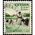 Ceylon 1951 Rice 6c Used Stamp