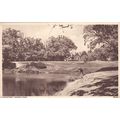 Chingford Warren Pond Essex Postcard (EX72441)
