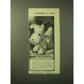 1948 Schirmer's Scottie Toy Ad - Schirmer's Famous Musical Toys