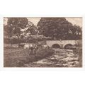Kirktown near Stonehaven Postcard Aberdeenshire
