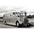 Black & White Photo of Mendip Queen Ltd. of Hig...