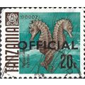 TANZANIA, FISH, Spiny Seahorse, Official, blue-...
