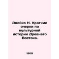 Znoiko N. Brief essays on the cultural history ...