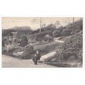 Cwmdonkin Park and Training College Swansea Pos...