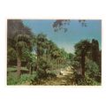 HEALTH RESORT, CRIMEA unused vintage postcard (A)
