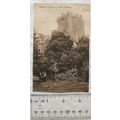 vintage postcard Blarney Castle, Cork ref.2