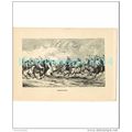 CATTLE HUNT, ARGENTINA, Book Illustration, c1883