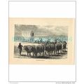BULLOCK WAGGON, ARGENTINA, Book Illustration, c...