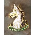 Corsham bowling club bowling bowls badge