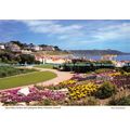 D017766 Queen Mary Gardens and Gyllyngvase Beac...