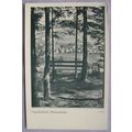 old postcard Vogtländische Heimatbilder