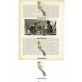 Malay Opium Smokers, Borneo, Malaysia, Book Ill...