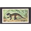Brook Bond Prehistoric Animals Psittacosaurus N...