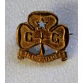 Vintage Girl Guides Metal Badge / Pin