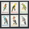 Moldova Oriole Hoopoe Woodpecker Cuckoo Birds 6...