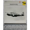 Kawasaki Ki-45 Toryu - Japan - Fighter - Collec...