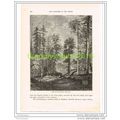 VIEW OF THE WESTERN HIMALAYAS, INDIA, Book Illu...