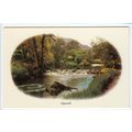 Tideswell Derbyshire Postcard DY533