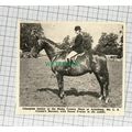 C2341) Susan Fowler Mr L S Cronin Horse Baronet...