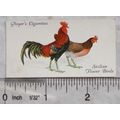 1931 John Player & Sons Poultry No. 41 Sicilian...