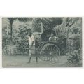 Ceylon Sri Lanka Colombo Tamil lady in a hand-p...