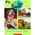 50 Odd Couples Dodo