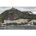 Drachenfels Rhein Germany Postcard unused VGC