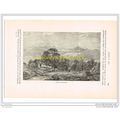 HIGHLAND HOMESTEAD, Illustration, c1870