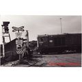 Railway Photo BR Class 20 20082 FIDDLERS FERRY ...
