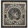 Newfoundland 1894 SG59 1c Black Mounted Mint .. ..