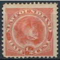 Dog: ½c - Newfoundland 1896 - NM H - SG 62