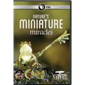 Natures Miniature Miracles (DVD) PBS Nature NEW