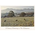 Mournes Northern Ireland Postcard posted 2008 P...
