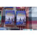 The Awakeners, by Sheri S Tepper PB
