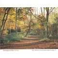 Whiteleaf Forest Woods Bucks Womens Institute P...