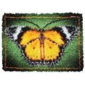 (35) Craftways GOLDEN BUTTERFLY Latch Hook Kit ...