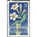 ROMANIA, FLOWER, Nicotiana alata, blue 1964, 10...