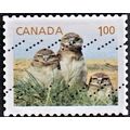 CANADA, 2014 'P' Juvenile Wildlife, SG 2706d (S...