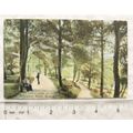 pre 1918 postcard Serpentine Walk, Buxton