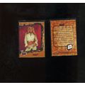 Terri Runnels WWE 2002 Fleer Absolute Divas Car...