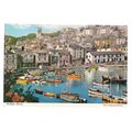 BRIXHAM, DEVON used vintage postcard by John Hi...