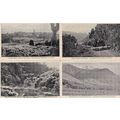 New Zealand Crystal Mountain Stream Sheep 4x An...
