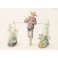 Seller of Flowering Plants China about 1790 Pos...