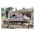 ptc8097 - Yorks' - Boys Barge Trip at Bingley F...