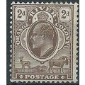 Orange River Colony 1903 SG141 2d Brown Mounted...
