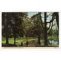 Public Park Portadown Postcard Co Armagh Northe...