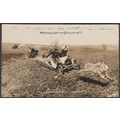 Hunting Giant Rabbits in Motor Cars, 1910 - Can...